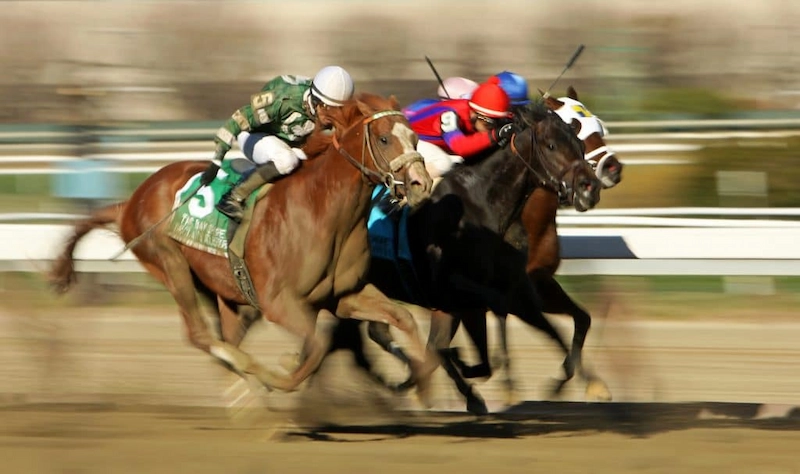 horse racing
