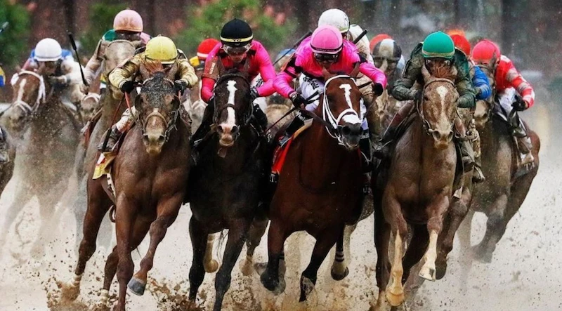 The Most Popular Horse Racing Bets You Should Try